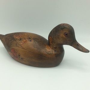 R.Negaard Park.Ropids,Mn wood duck